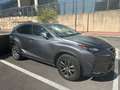 Lexus NX 300h NX 300h Executive 4WD Executive Gris - thumbnail 1