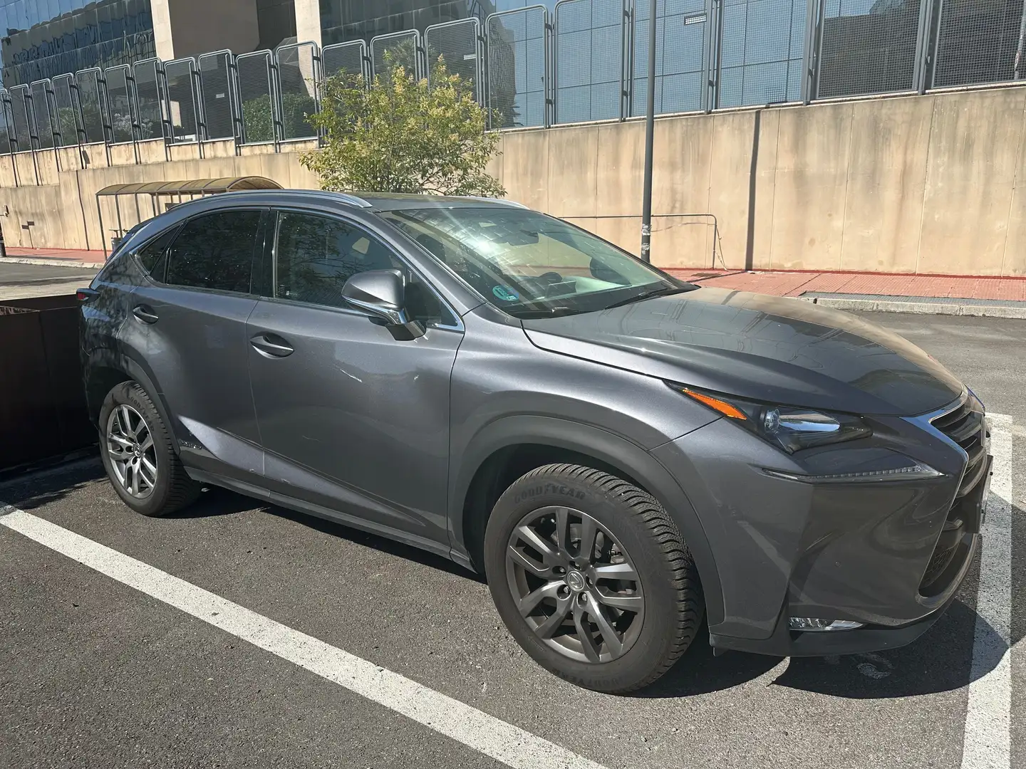 Lexus NX 300h NX 300h Executive 4WD Executive Gris - 1