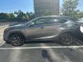 Lexus NX 300h NX 300h Executive 4WD Executive Gris - thumbnail 4