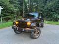 Jeep Wrangler Wrangler 3.6 Rubicon Bruin - thumbnail 2