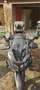 Suzuki V-Strom 650 Gris - thumbnail 9