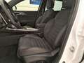 Alfa Romeo Tonale 1.5 160cv Hybrid TCT7 Tributo Italiano Bianco - thumbnail 9