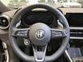 Alfa Romeo Tonale 1.5 160cv Hybrid TCT7 Tributo Italiano Bianco - thumbnail 14
