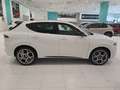 Alfa Romeo Tonale 1.5 160cv Hybrid TCT7 Tributo Italiano Bianco - thumbnail 13