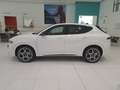 Alfa Romeo Tonale 1.5 160cv Hybrid TCT7 Tributo Italiano Bianco - thumbnail 2