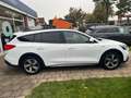 Ford Focus Turn Active 1.5 EcoBoo AUT MATRIX PANO AHK Blanc - thumbnail 2