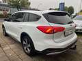 Ford Focus Turn Active 1.5 EcoBoo AUT MATRIX PANO AHK Blanc - thumbnail 5