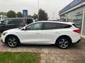 Ford Focus Turn Active 1.5 EcoBoo AUT MATRIX PANO AHK Blanc - thumbnail 6