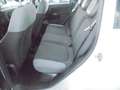 Fiat Panda Panda 1.0 hybrid Easy Connect s&s Grigio - thumbnail 8