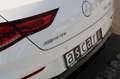 Mercedes-Benz CLA 35 AMG Shooting Brake 4MATIC  80 KM !! Blanc - thumbnail 13