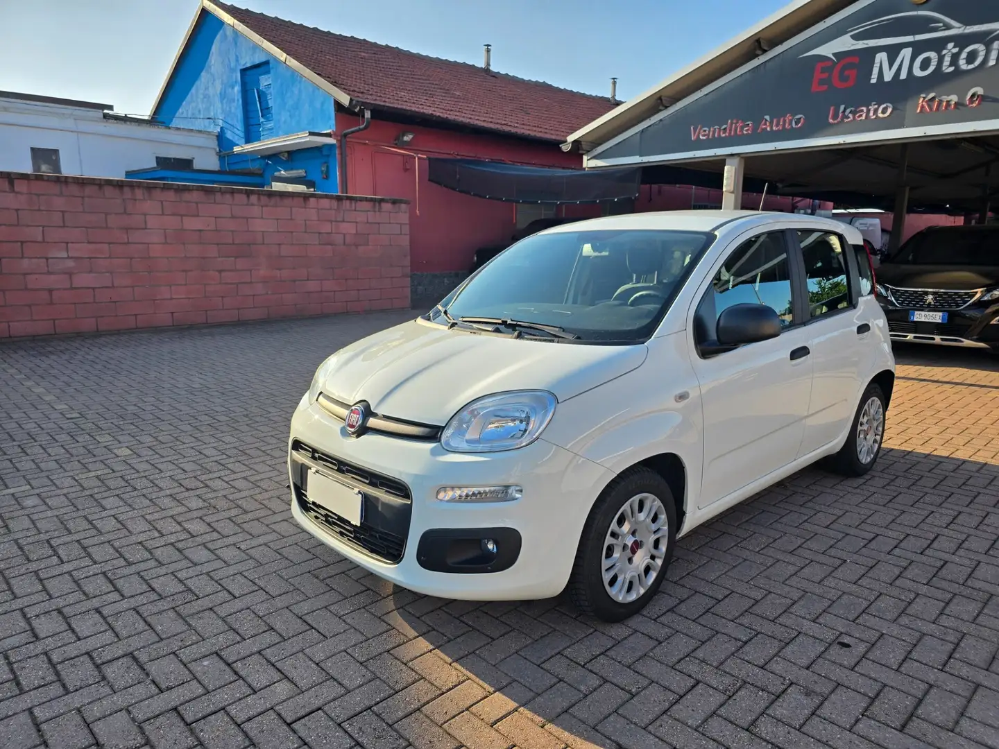 Fiat Panda 1.0 FireFly S&S Hybrid Bianco - 1