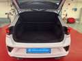 Volkswagen T-Roc R-Line 1.5 TSI DSG AHK Navi ACC Rückfahrkamera Weiß - thumbnail 10