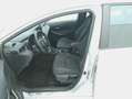 Toyota Corolla TS Hybrid Business 1.8 Full Hybrid 122CV Argento - thumbnail 10