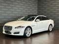 Jaguar XJ 3.0D V6 300 CV Portfolio MOTORE CAMBIATO IN GARANZ Blanco - thumbnail 1