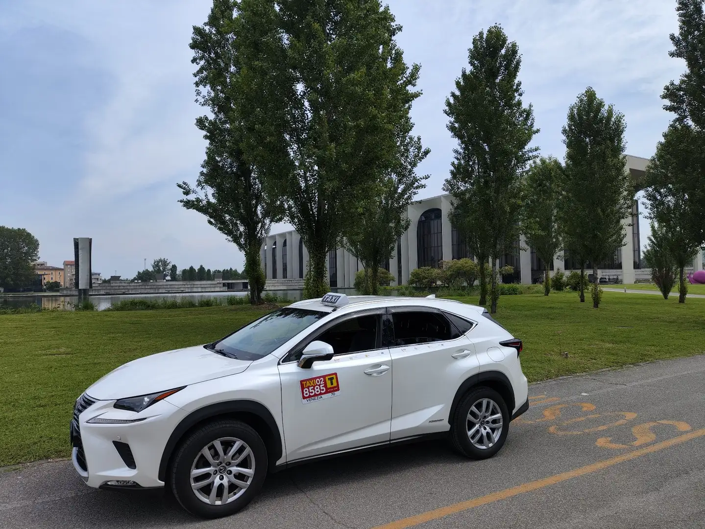 Lexus NX 300h nx 300h 03/18 executive 2.5 4wd cvt omologata TAXI Bianco - 2