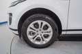Land Rover Range Rover Evoque 2.0D MHEV S AWD Aut. 150 Blanco - thumbnail 10