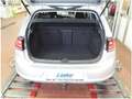Volkswagen Golf VII 1.2 TSI Allstar BMT AHK/GRA/PDC/Sitzhzg/Climat Silber - thumbnail 9