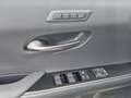 Lexus UX 250h Luxury Line ACC FLA HUD SpurH Leder LM Weiß - thumbnail 18