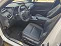 Lexus UX 250h Luxury Line ACC FLA HUD SpurH Leder LM Weiß - thumbnail 6