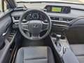 Lexus UX 250h Luxury Line ACC FLA HUD SpurH Leder LM Weiß - thumbnail 7