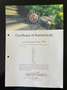 MG MGF MGF 1.8i Argent - thumbnail 26