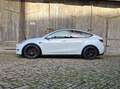 Tesla Model Y Performance Weiß - thumbnail 5