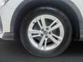 Audi Q3 Sportback 35 TDI quattro S-tronic Weiß - thumbnail 5