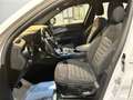 Alfa Romeo Stelvio 2.2 t Business Q4 190cv auto - thumbnail 7
