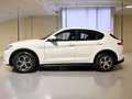 Alfa Romeo Stelvio 2.2 t Business Q4 190cv auto - thumbnail 3