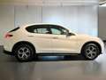 Alfa Romeo Stelvio 2.2 t Business Q4 190cv auto - thumbnail 5