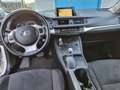 Lexus CT 200h Business Line Pro Hybride Bj:2012 NAP! White - thumbnail 6