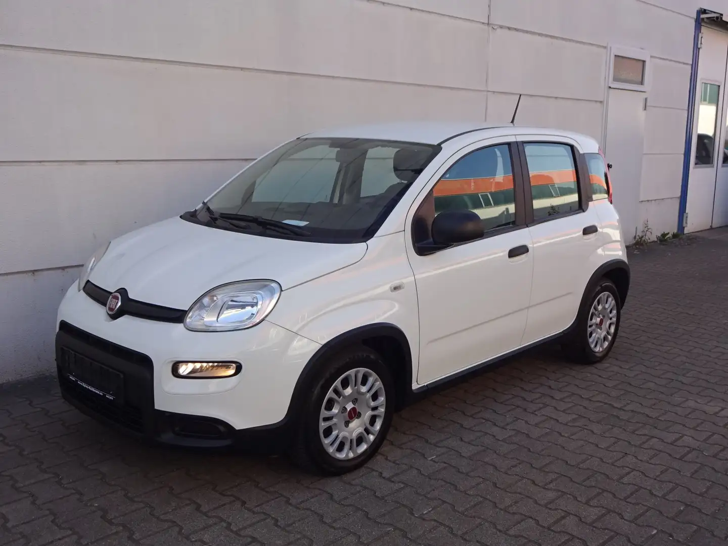 Fiat Panda 1.0 Mild Hybrid  Base Klima DAB Weiß - 2