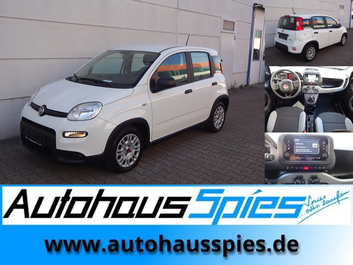 Fiat Panda 1.0 Mild Hybrid  Base Klima DAB Weiß - 1