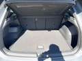 Volkswagen Tiguan Sport TDI 4MOTION DSG Grau - thumbnail 12