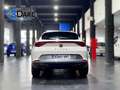 CUPRA Formentor 2.0 TDI 150 Bianco - thumbnail 7