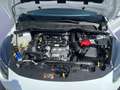 Ford Fiesta Titanium 1.0 EcoBoost *LED*WINTER-PAKET* Blanco - thumbnail 20