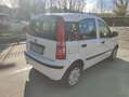 Fiat Panda 1.3 MJT 16V DPF Classic Wit - thumbnail 14