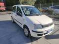 Fiat Panda 1.3 MJT 16V DPF Classic Wit - thumbnail 15