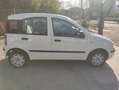 Fiat Panda 1.3 MJT 16V DPF Classic Wit - thumbnail 4