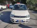 Fiat Panda 1.3 MJT 16V DPF Classic Wit - thumbnail 12