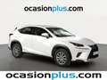 Lexus NX 300 300h Business 2WD Blanc - thumbnail 2