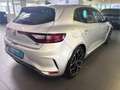 Renault Megane IV R.S. Navi | Brembo | DSG Grau - thumbnail 5
