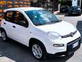 Fiat Panda Panda 1.0 HYBRID FIREFLY DAB BLUE CITY CLIMA Bianco - thumbnail 1