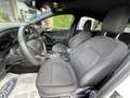 Ford Focus 4ª serie 1.5 EcoBlue 120 CV automatico 5p. ST-Line Blanc - thumbnail 10