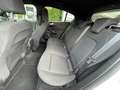 Ford Focus 4ª serie 1.5 EcoBlue 120 CV automatico 5p. ST-Line Blanc - thumbnail 11