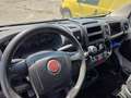 Fiat Ducato FIAT Ducato 35 2.3 MJT 130CV PLM-SL-TA FurgoneMaxi - thumbnail 4