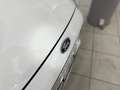 Ford Fiesta Fiesta 3p 1.0 Titanium - NEOPATENTATI Blanc - thumbnail 7