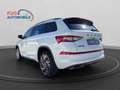 Skoda Kodiaq KODIAQ RS 2.0TSI DSG 4x4+AHK+STANDH.+7-SITZER Weiß - thumbnail 3