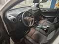 Mercedes-Benz B 160 Classe B - T246 cdi Executive Blanc - thumbnail 6