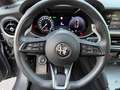 Alfa Romeo Stelvio Stelvio 2.0 t Veloce Q4 280cv auto Grau - thumbnail 11